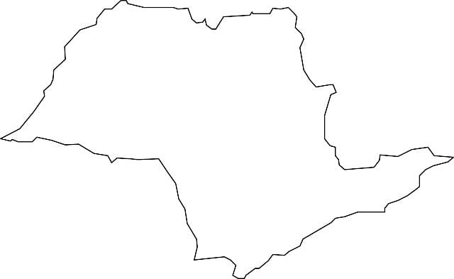 Kaart van São Paulo vector